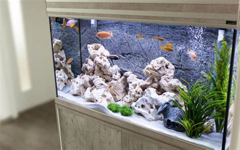 Why Choose a 45 cm Fish Tank?